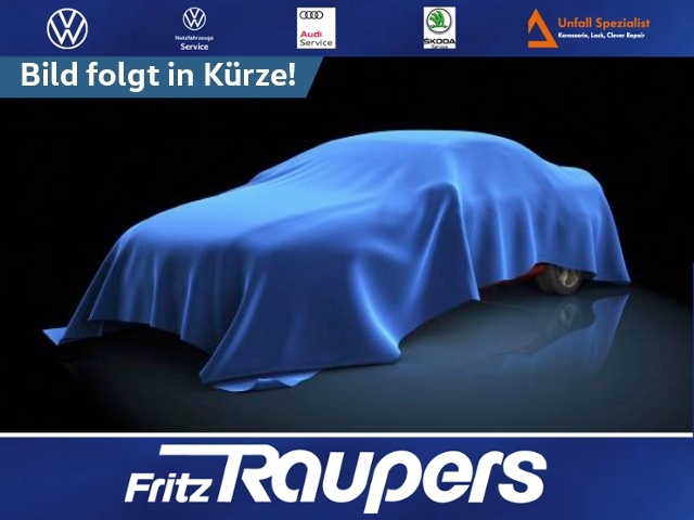 VW Polo GTI  2,0 l TSI OPF 7-Gang-DSG